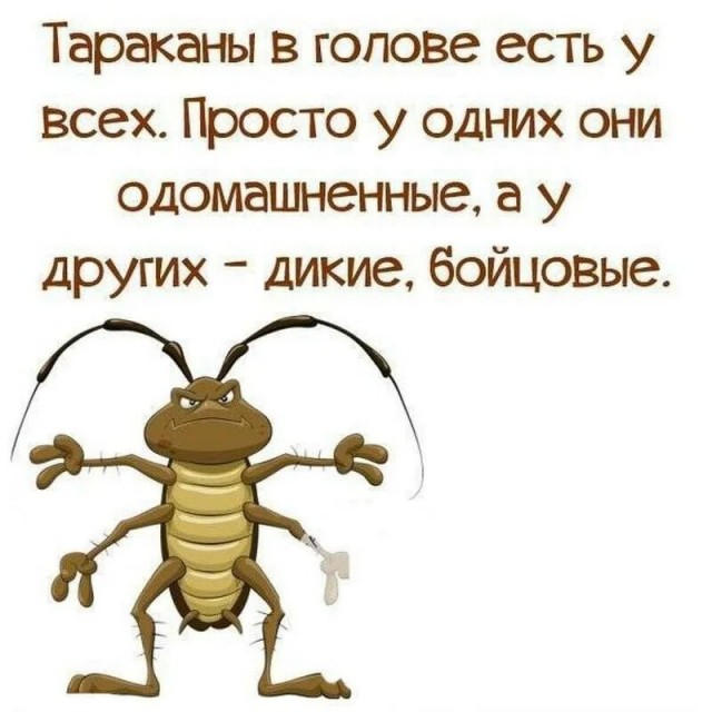 Пандемия съехавших крыш. Разновидности болезни. Россия и мир. Часть 36
