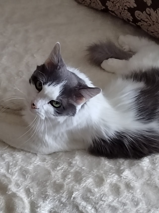 Нам семнадцать!