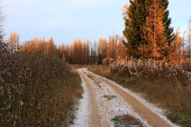 Поздней осенью в деревне