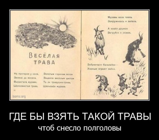 Прикольные и просто красивые картинки 16.12.2022