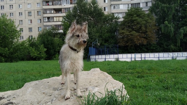 Тихон Сергеич