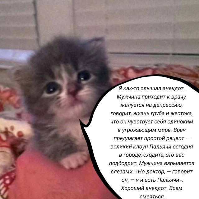 Немного мемчиков. Для взрослых. Часть 29