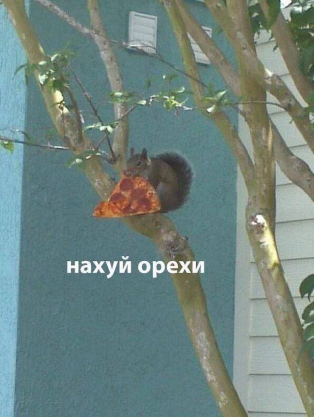 Всего понемногу. Часть 4