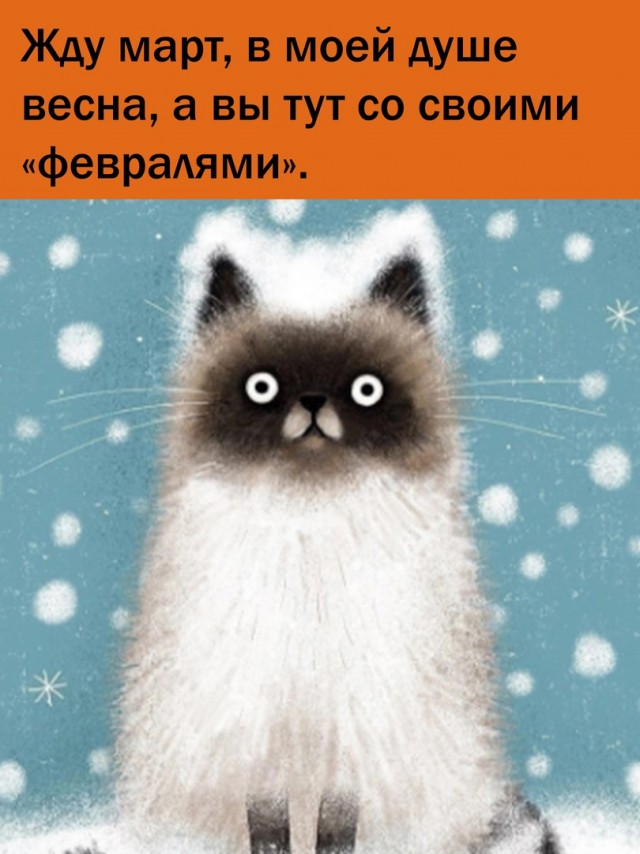 Это правда?!