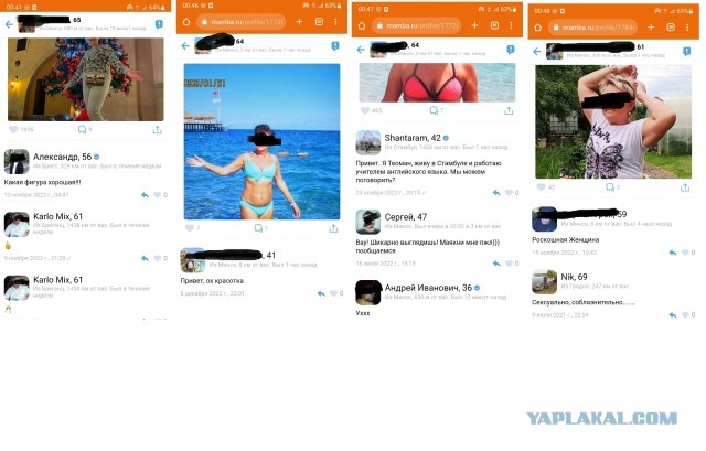 Почему бабы офигели