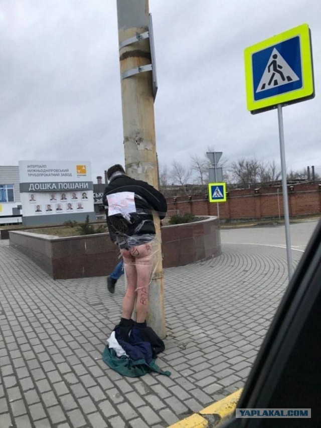Мародёры в Шебекино