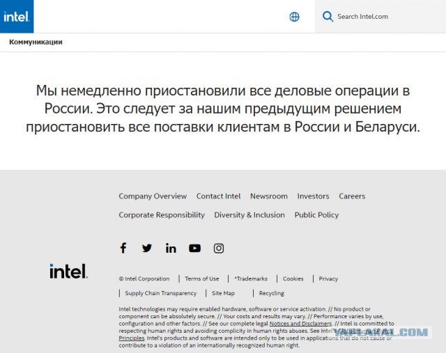 Вся боль поколения на стрит-арте в Питере⁠⁠