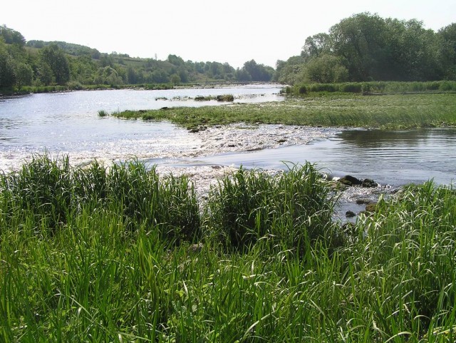 Сплав. Южный Буг.