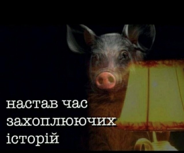 Если бы Россия действовала как Израиль