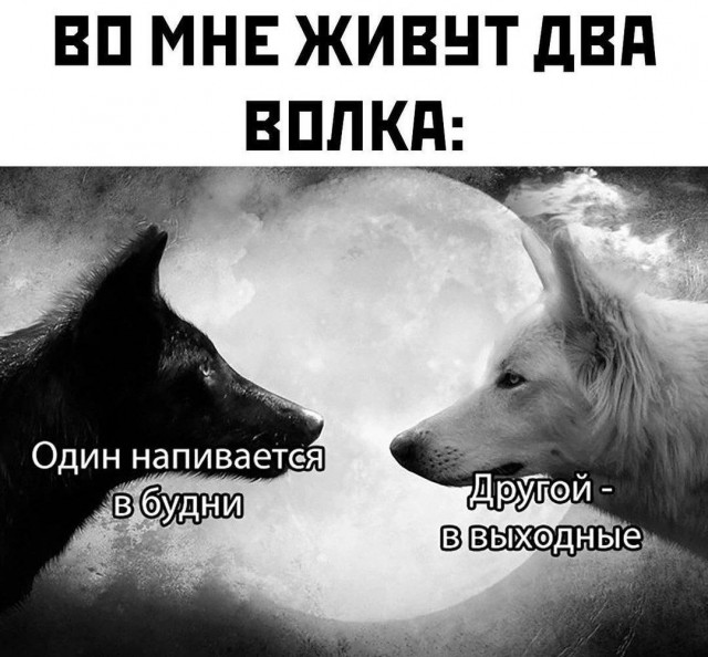Всего понемногу. От 15.11.23