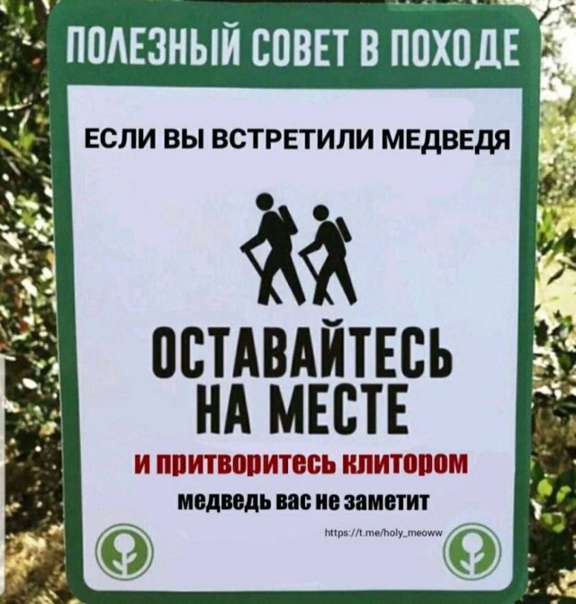 Так себе картинки 23.12.23