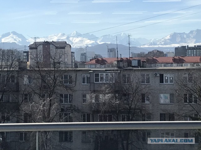 Откровение старой феминистки про мужчин и свою жизнь