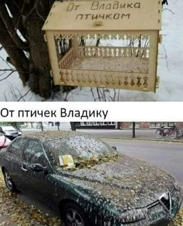 Завалялось тут случайно немного забавных картинок