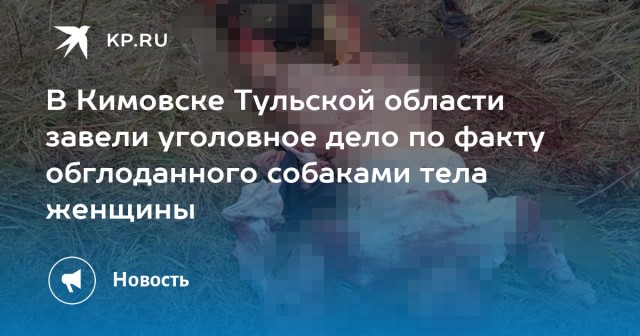 Голодные псы, растерзавшие женщину в Кимовске, приехали с хозяином из Москвы
