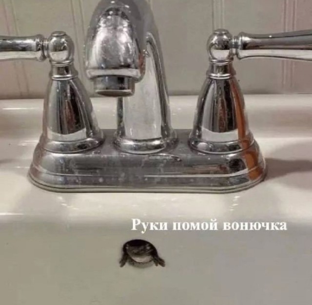 Всего понемногу. От 08.12.24