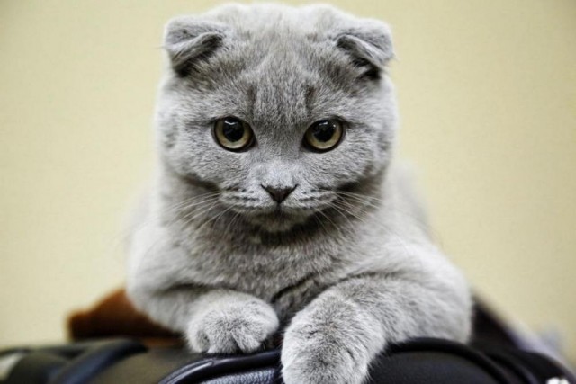 Прикольные и просто красивые картинки 04.04.2025