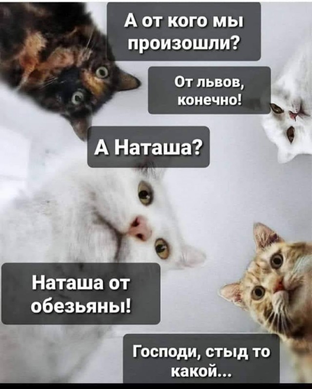Веселые картинки в среду, практически пятницу 30.04