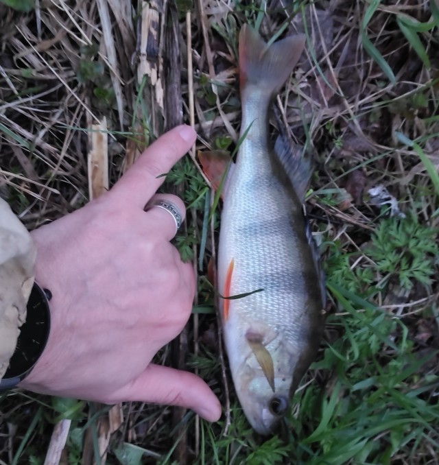 День, проведенный на рыбалке