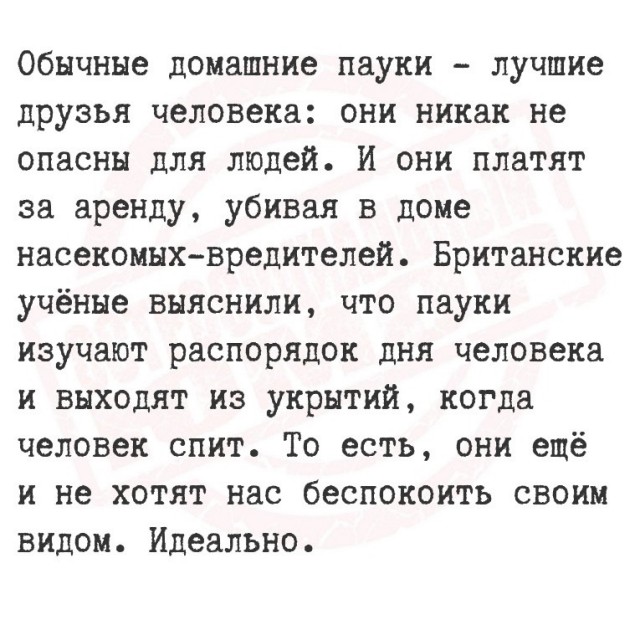 Завалялось тут случайно немного забавных картинок