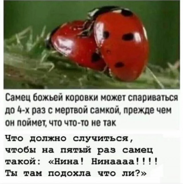 Не могу спать с женой