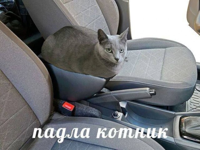 Так себе картинки 22.10.25