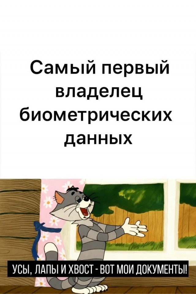 Четверговые картинки.