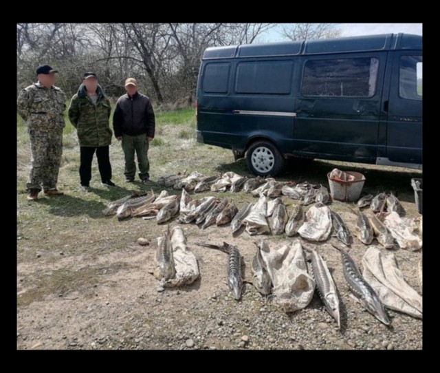 Рыбалка в Краснодарском крае