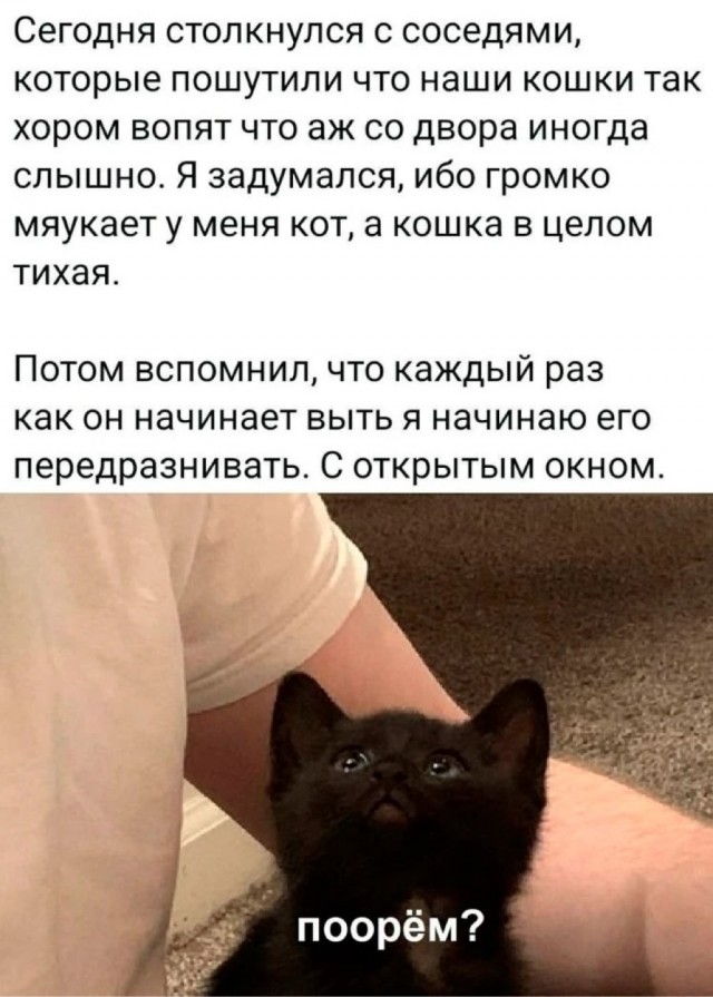 Воскресные картинки