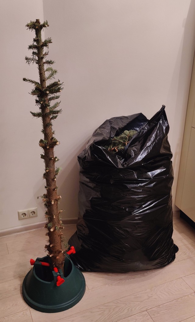 Продам ёлку, недорого