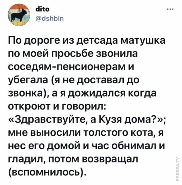 Веселые картинки в пятницу (20.02)