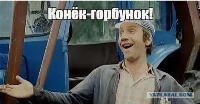 Идиот прыгнул на батут из колючей проволоки