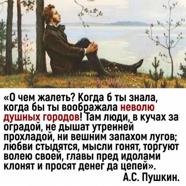 Не ждали...