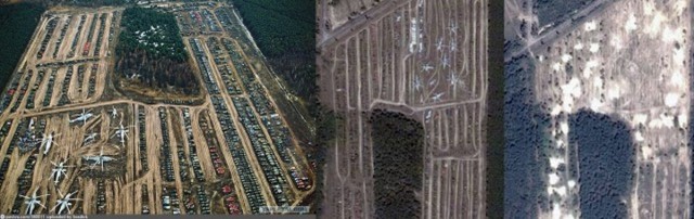 На Украине злоумышленники годами собирали урожай в Чернобыльской зоне отчуждения