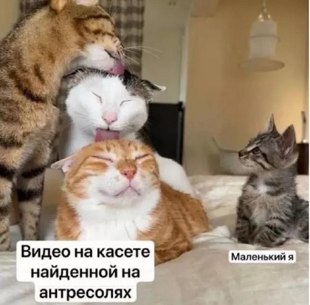 Так себе картинки 08.05.26