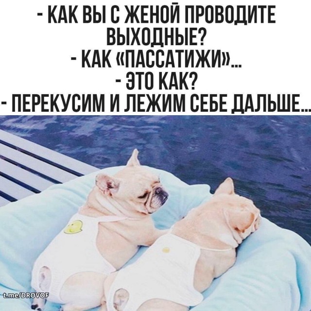 Картиночки, баянчики 27 июня