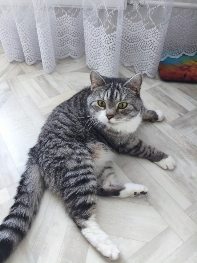 Чесалка.