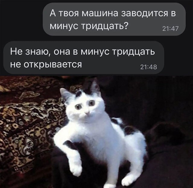 Картинки для деградации 258 ( разной степени свежести)