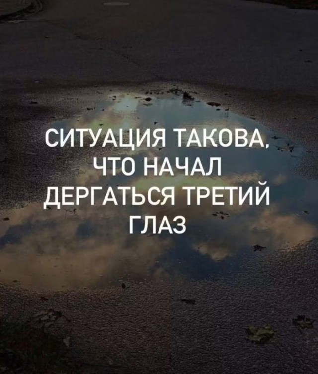 Картинки для деградации 281 (разной степени свежести)