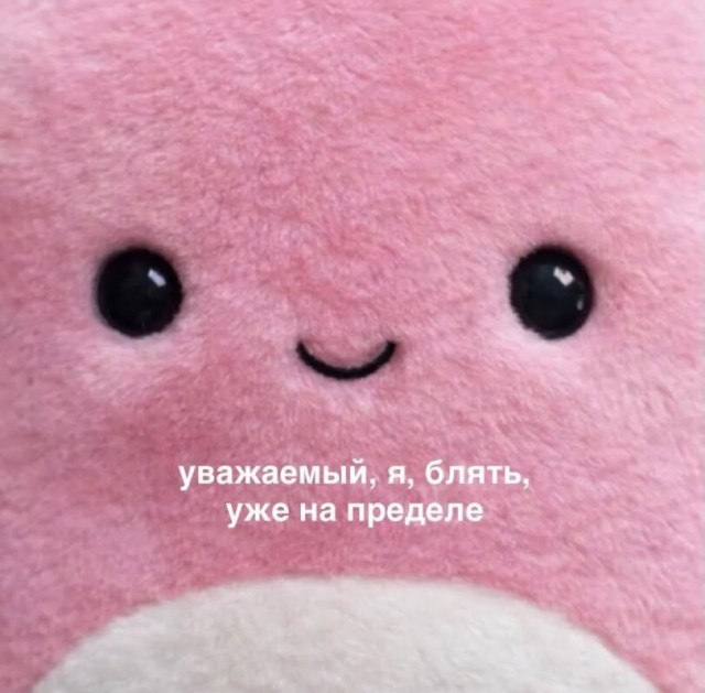Картинки для деградации 295 (разной степени свежести)