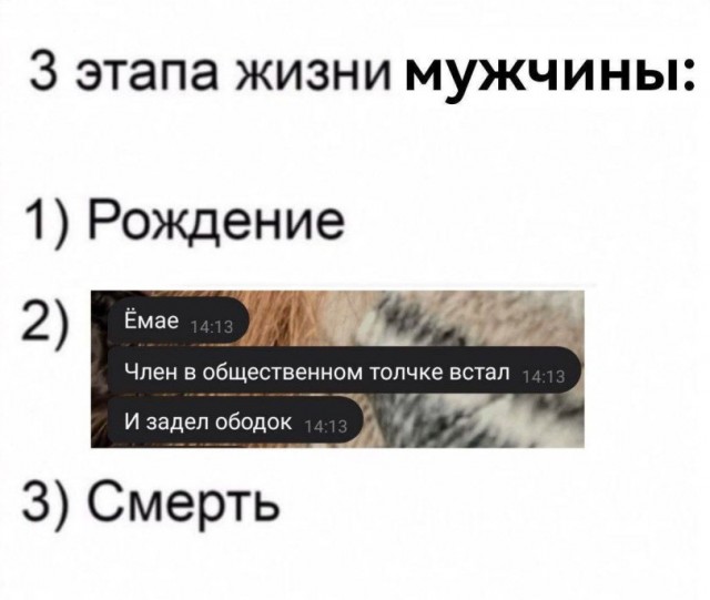 Картинки всякие разные невпопад 1.6