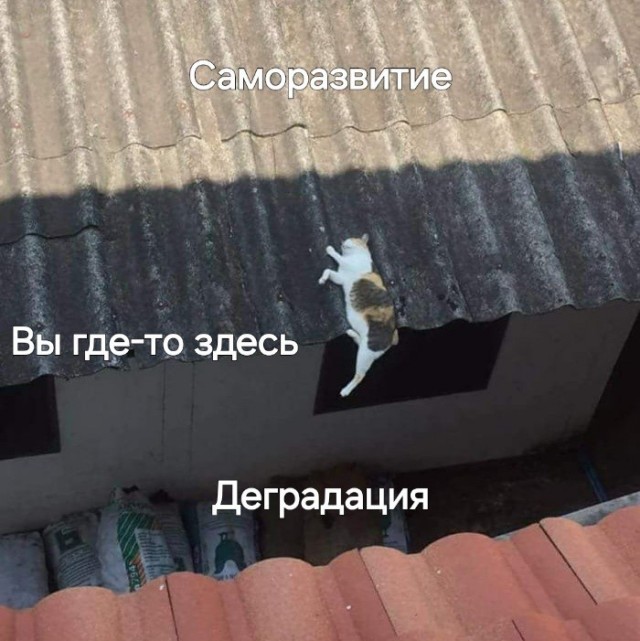 Картинки для деградации 304 (разной степени свежести)
