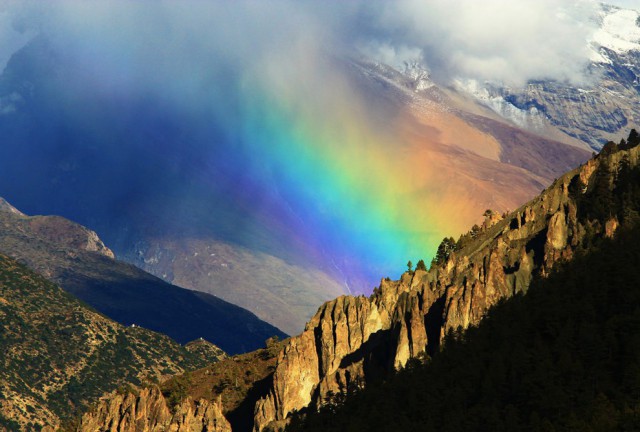 Фотоконкурс National Geographic Photo  2013