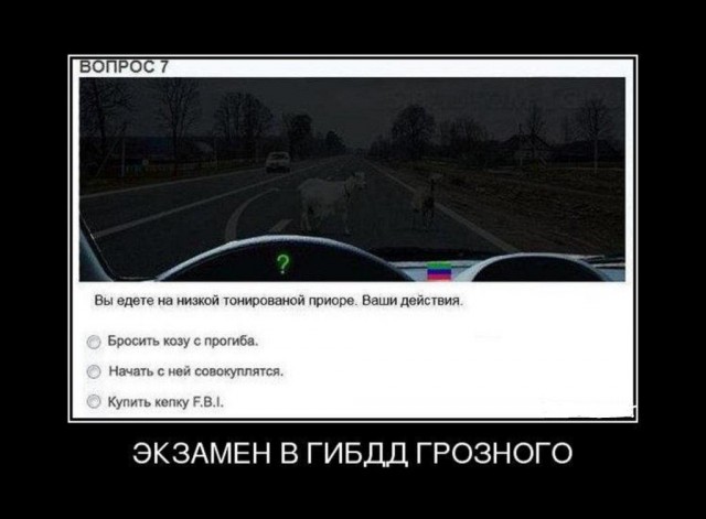 Симулятор коЗЫ