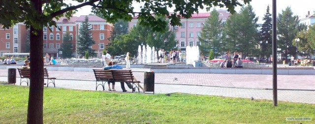 Случай в парке