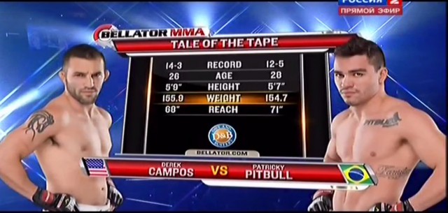 БОКС/MMA....