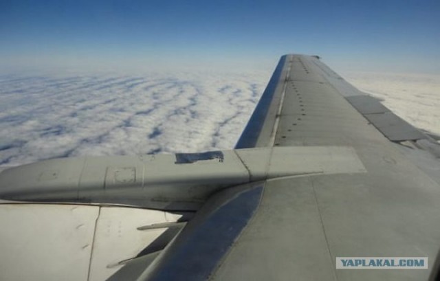 Суровые бразильские механики