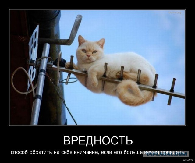 Чёрт, чёрт, чёрт!