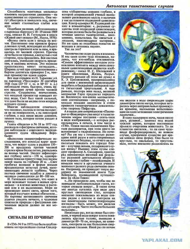 Аномалия возле Камчатки