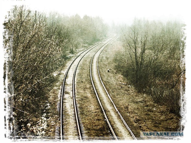 Донецк 2013