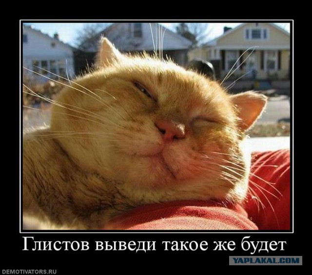 Забавные картинки из сети